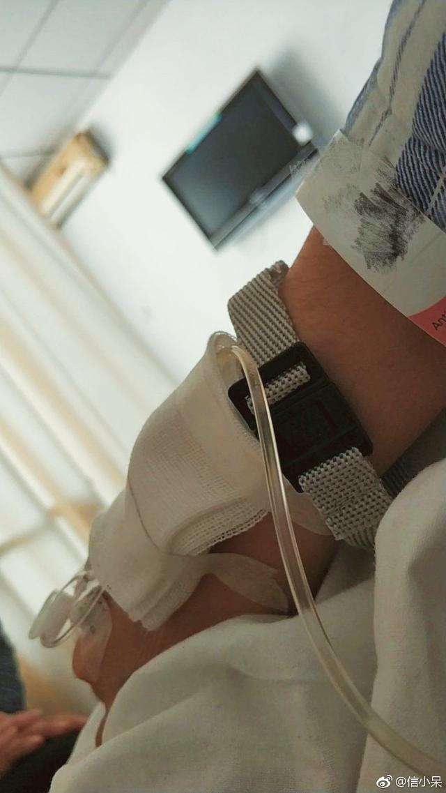 呆呆閱讀app，小呆部落下載？