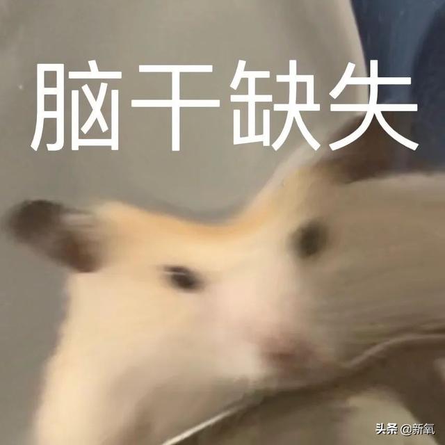織音app唱歌真的能掙錢(qián)嗎，織音app唱歌賺錢(qián)是真的嗎,收益怎么樣-手賺聯(lián)盟？