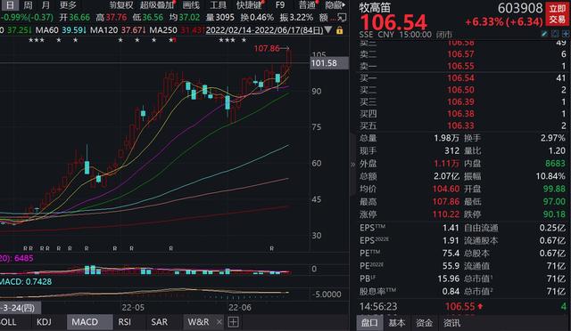 18電商概念股龍頭有哪些，618電商概念股龍頭有哪些2022？"