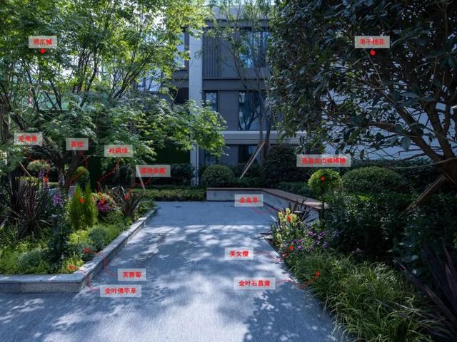 研發(fā)項目落地什么意思啊（研發(fā)項目落地什么意思呀）