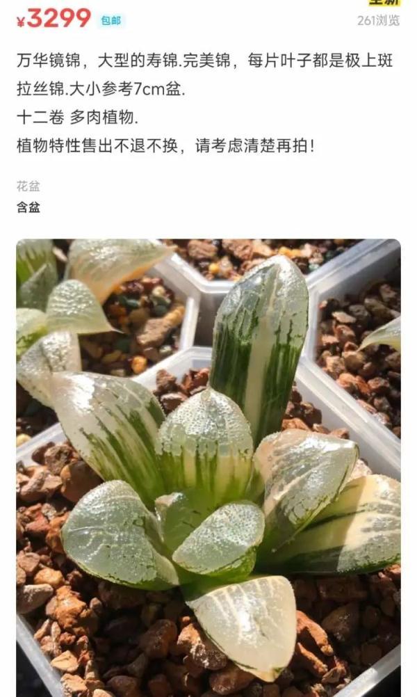 閑魚客服24小時熱線人工電話acecom閑魚客服24小時熱線人工電話號碼at（閑魚客服24小時熱線人工電話號碼）
