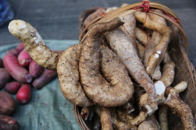 農(nóng)村100種野菜圖片（農(nóng)村100種野菜圖片及名稱）