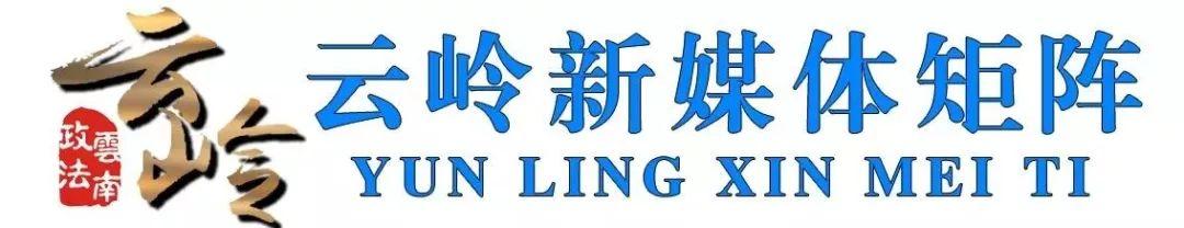 犯法賺錢路子（最賺錢的路子都寫在刑法里）