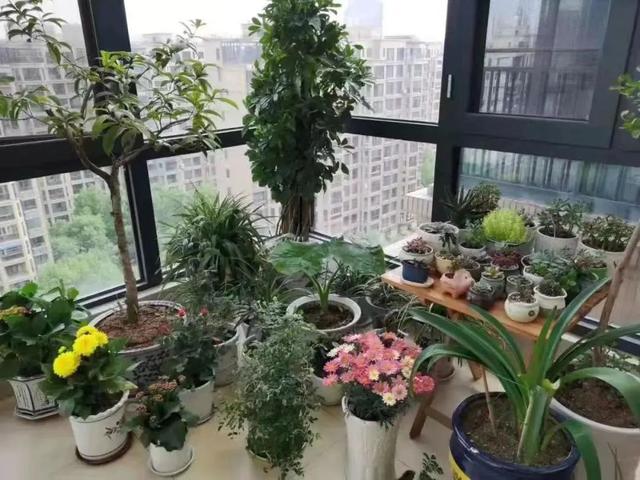 微信投票小程序怎么弄，微信投票小程序怎么弄限制投三項？