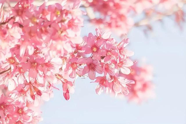 發(fā)朋友圈怎么發(fā)原圖照片，發(fā)朋友圈怎么發(fā)原圖視頻？