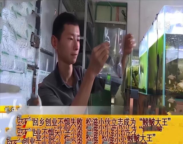養(yǎng)殖業(yè)什么賺錢最快，比較賺錢的養(yǎng)殖？