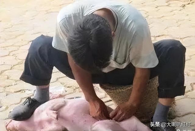 豬睪丸怎么做好吃視頻（豬睪丸怎么做好吃法大全）