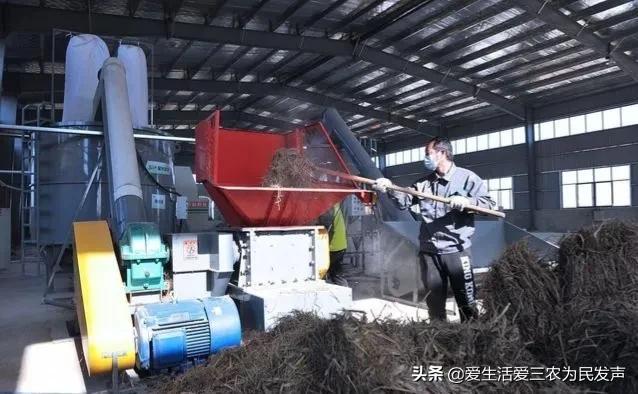 政府補(bǔ)貼項(xiàng)目查詢2020，政府補(bǔ)貼項(xiàng)目查詢2020情況？