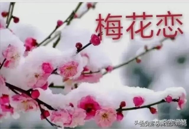 企業(yè)微信群怎么轉讓群主（微信群怎么轉讓群主位置）
