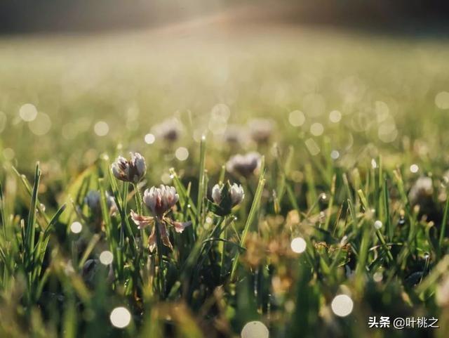 微信朋友圈功能被停用怎么解決蘋果手機(jī)，微信朋友圈功能被停用怎么解決視頻？