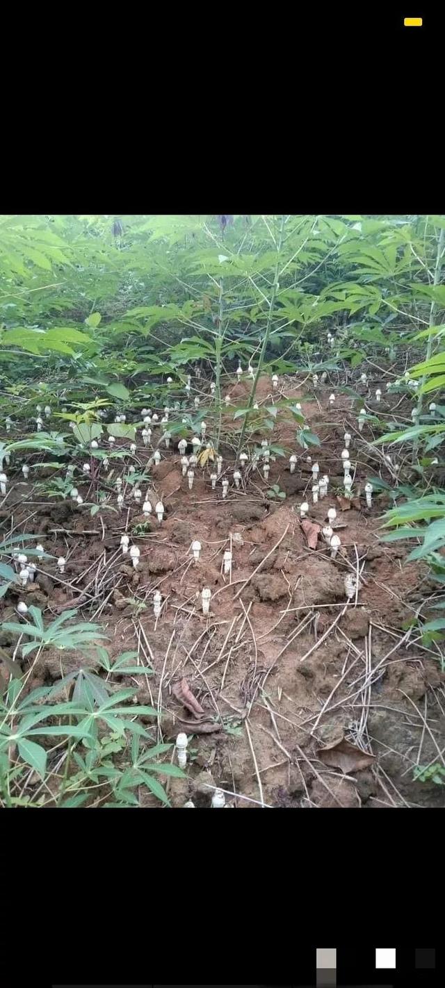 抖音怎么加好友到微信上，抖音怎么加好友到微信里面？