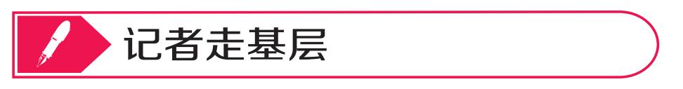 室內(nèi)種植經(jīng)濟(jì)項(xiàng)目，小型室內(nèi)種植致富？