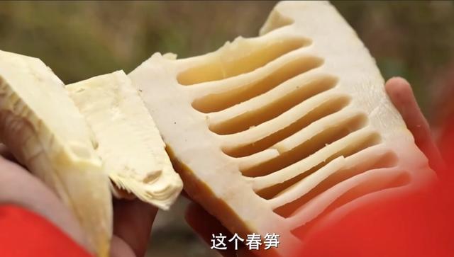 最適合打工還債的工作（女的做還債好還是討債好）