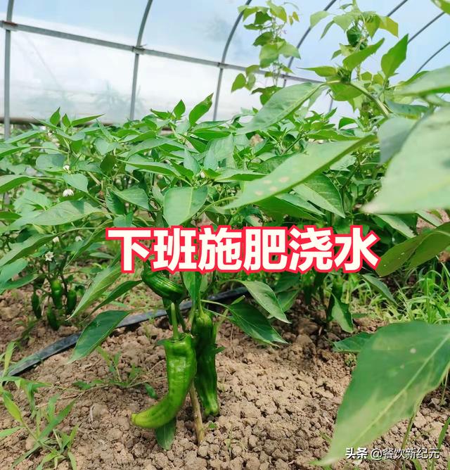 000萬怎么創(chuàng)業(yè)，500塊錢能創(chuàng)業(yè)嗎？"