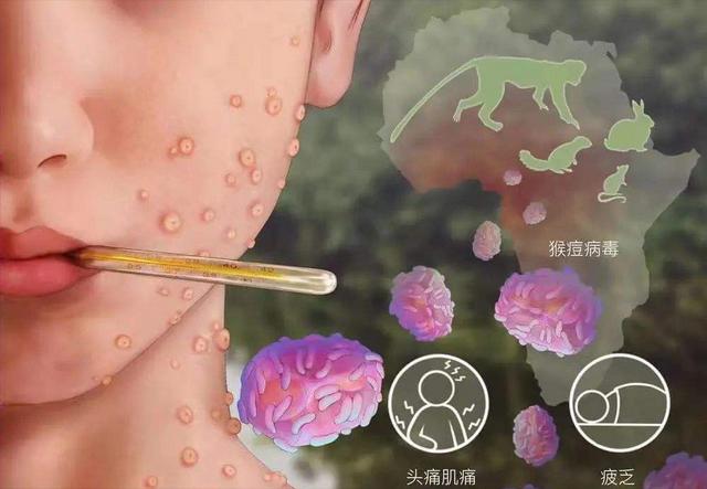 百家榜創(chuàng)作者是什么意思（百家榜創(chuàng)作者認(rèn)證）