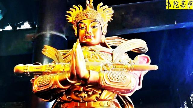 普陀山在哪里哪個(gè)省份哪個(gè)市（普陀山在哪個(gè)省哪個(gè)市）