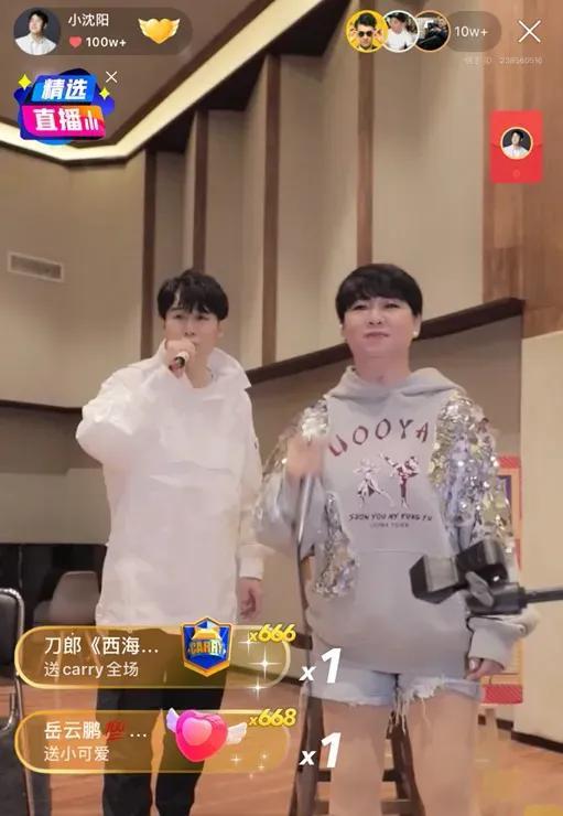 楊樹(shù)林和圣羅蘭區(qū)別（楊樹(shù)林和圣羅蘭是不是一個(gè)牌子）