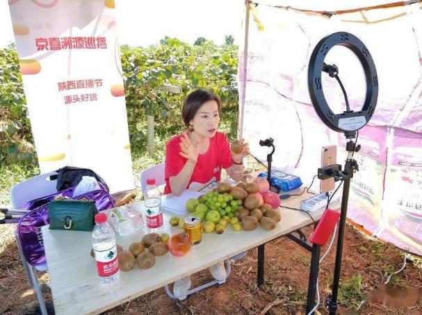 助農平臺怎么賺錢的（助農平臺怎么賺錢快）