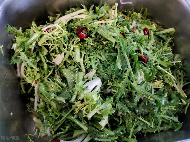 農(nóng)村100種野菜圖片（農(nóng)村100種野菜圖片及名稱）