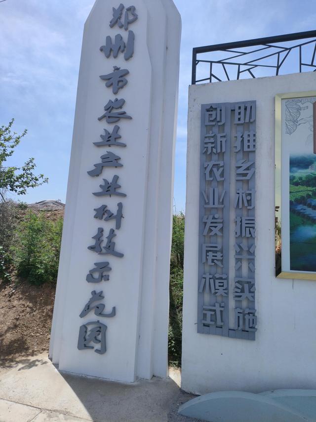 企業(yè)的愿景是怎么寫好（企業(yè)的愿景是怎么寫范文）
