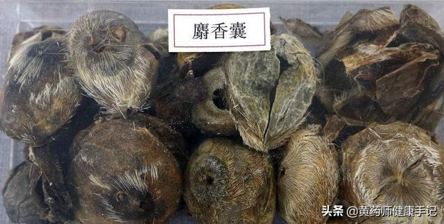 穿心蓮內(nèi)酯滴丸孕婦可以吃嗎_（穿心蓮滴丸孕婦可以吃嗎）