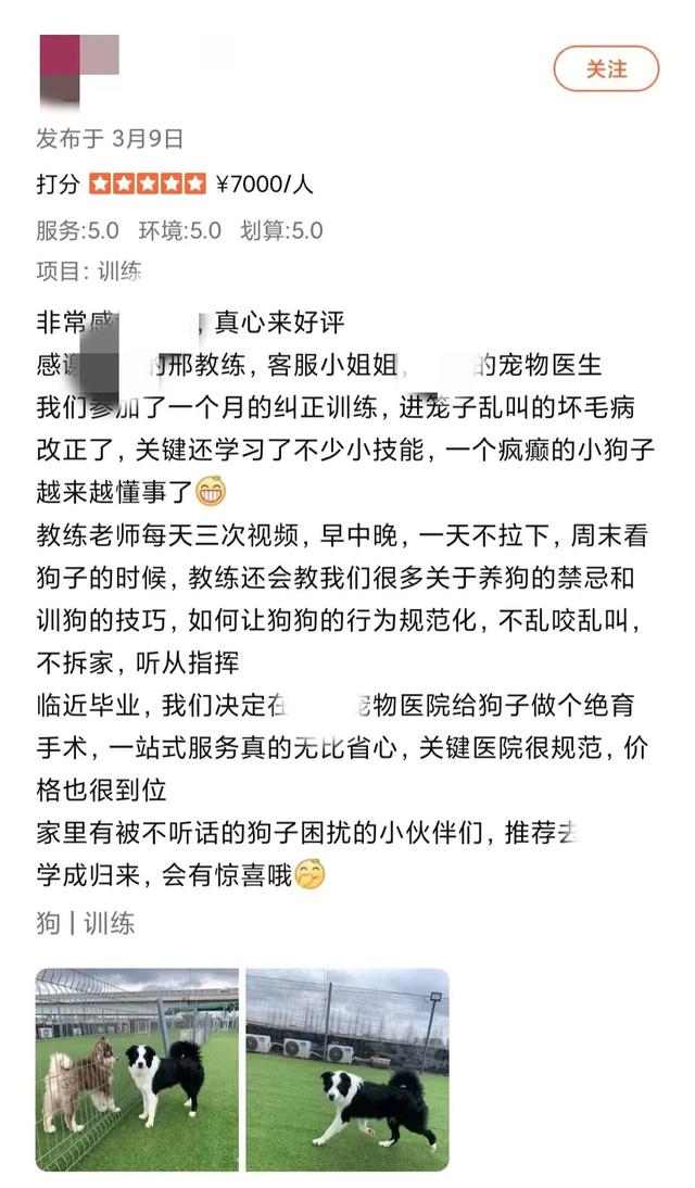 訓(xùn)犬師學(xué)校哪個(gè)比較好（訓(xùn)犬師培訓(xùn)學(xué)校排名）
