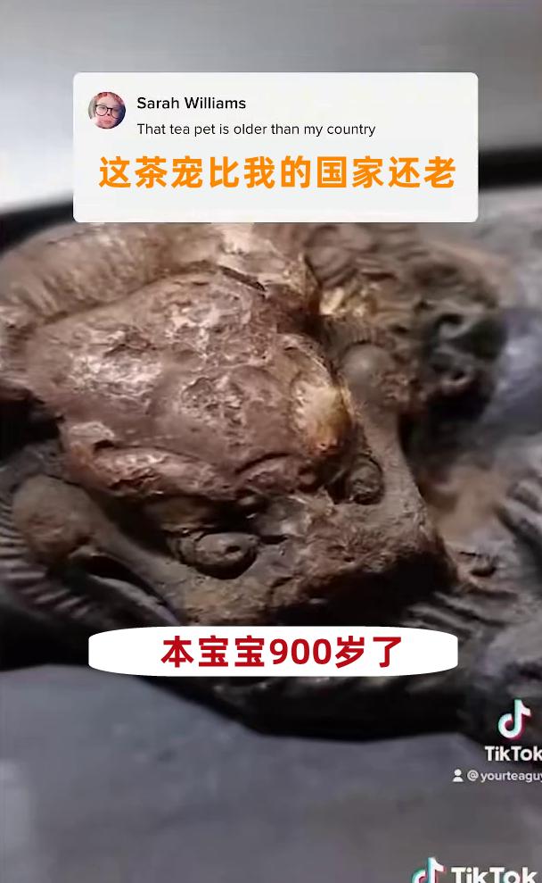 抖音海外版tiktok下載安卓，國外抖音tiktok網(wǎng)頁版？