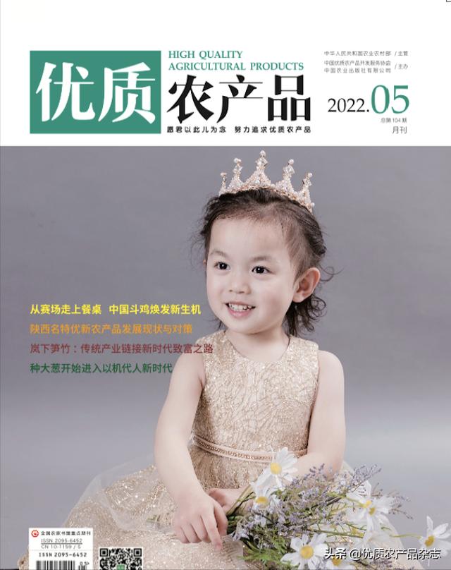 宣傳廣告創(chuàng)意文案怎么寫（廣告文案怎樣寫）