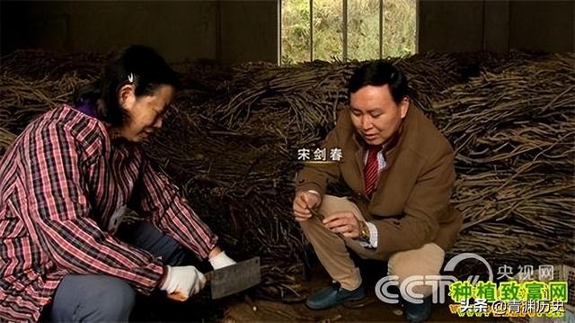 走投無路了找快速賺錢路子2020（走投無路了怎么快速賺錢）