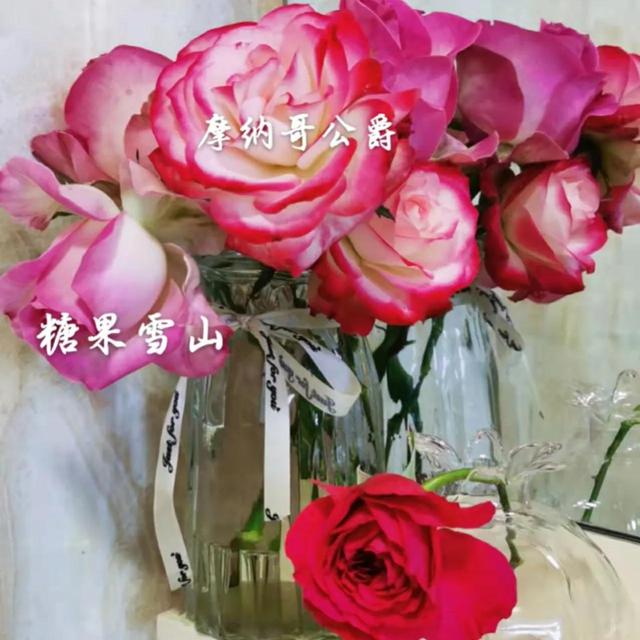 經(jīng)常發(fā)花草朋友圈的女生，朋友圈愛發(fā)花花草草的女人？