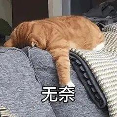 快手小鈴鐺送手機(jī)是真的嗎（快手小鈴鐺推廣任務(wù)怎么接）