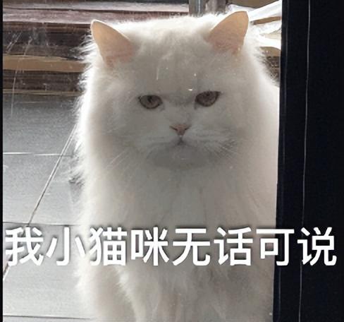 公眾號一天怎么發(fā)2次推送內容，公眾號一天怎么發(fā)2次推送文章？