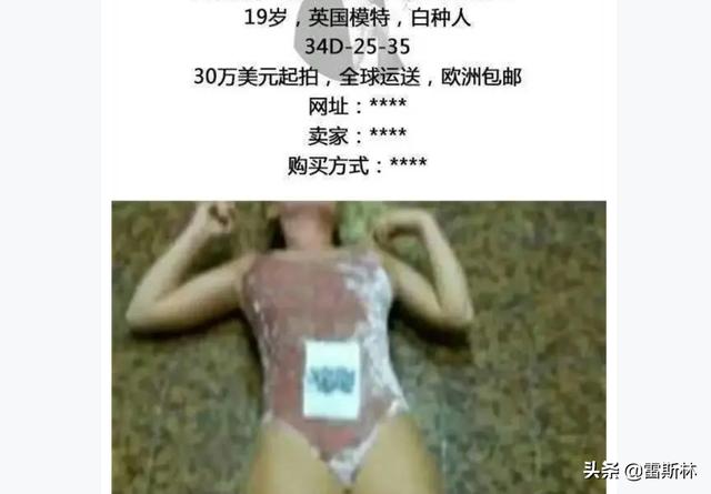 洋蔥網(wǎng)絡(luò)暗網(wǎng)下載（洋蔥暗網(wǎng)手機(jī)版）