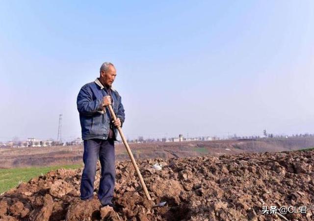 鄉(xiāng)下種植什么最賺錢(qián)又省事，鄉(xiāng)下種植什么最賺錢(qián)又省事兒？