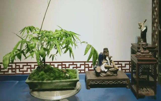 網(wǎng)店取什么名字好吸引客戶有好名字有意義四個(gè)字，網(wǎng)店起什么名字吸引人？