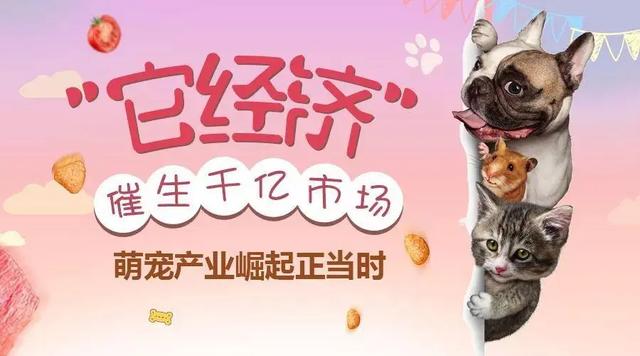 副業(yè)賺錢的，副業(yè)賺錢的路子有哪些？
