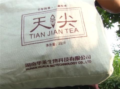安化黑茶銷售模式合法嗎，安化黑茶營銷模式合法嗎？