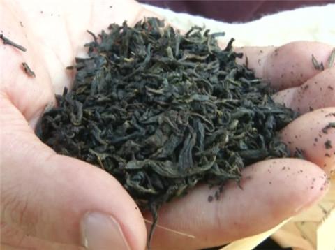安化黑茶銷售模式合法嗎，安化黑茶營銷模式合法嗎？