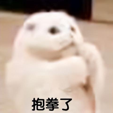 小米官方旗艦店正品，小米官方旗艦店正品官網(wǎng)？