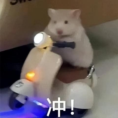 小米官方旗艦店正品，小米官方旗艦店正品官網(wǎng)？